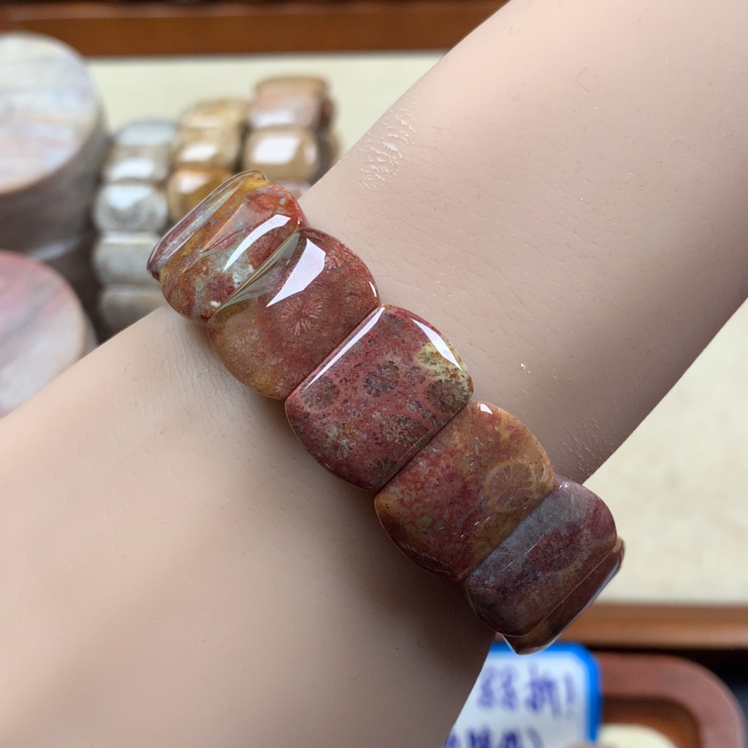 未镶嵌手排漏100/个。06硅化珊瑚（珊瑚玉）