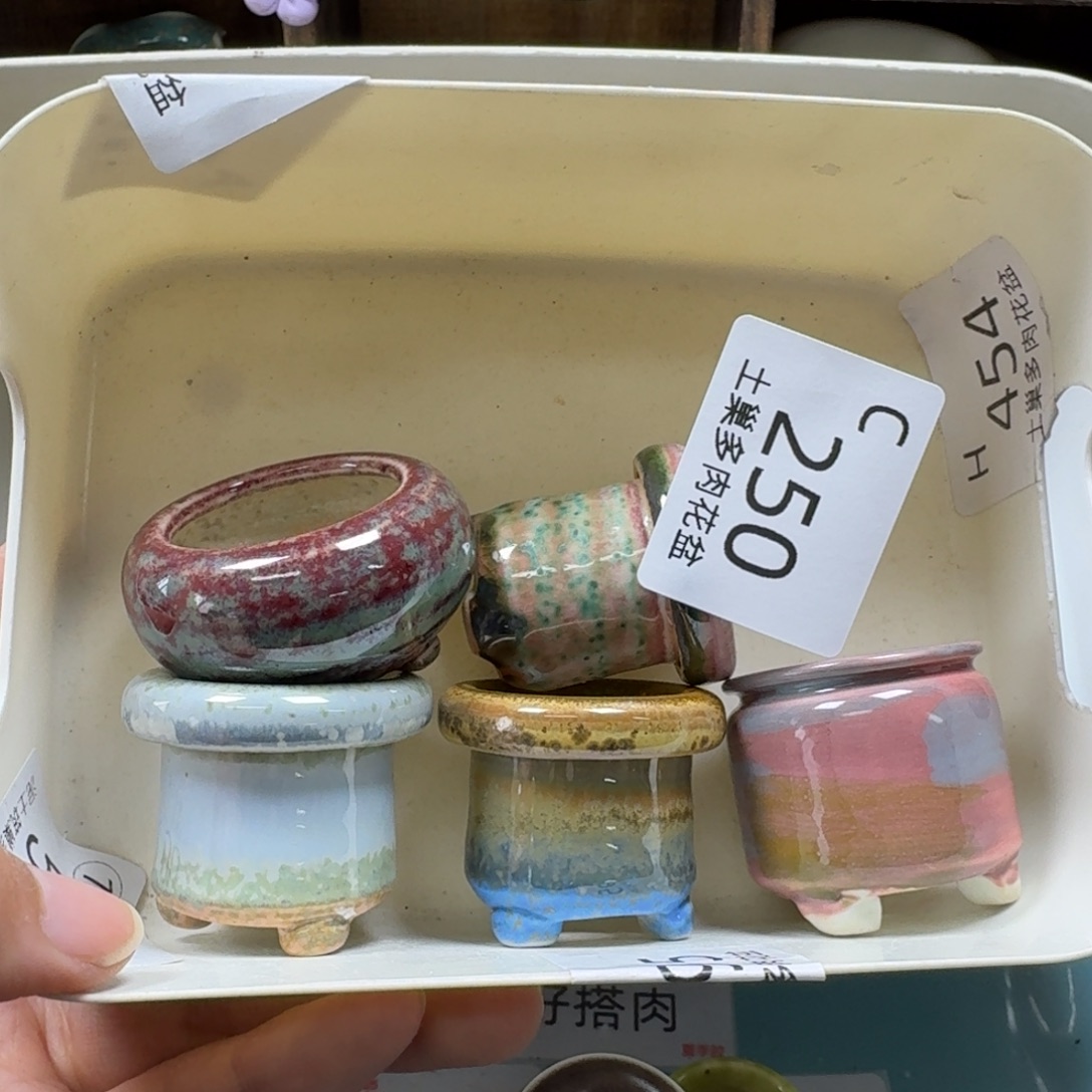 椰***冻陶瓷艺术品设计与制作