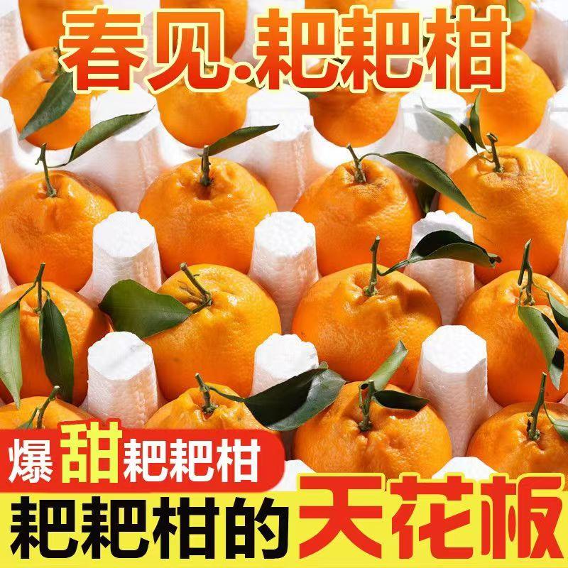 四川特级春见耙耙柑粑粑柑8斤橘子甜当季整箱新鲜水果丑柑桔包邮