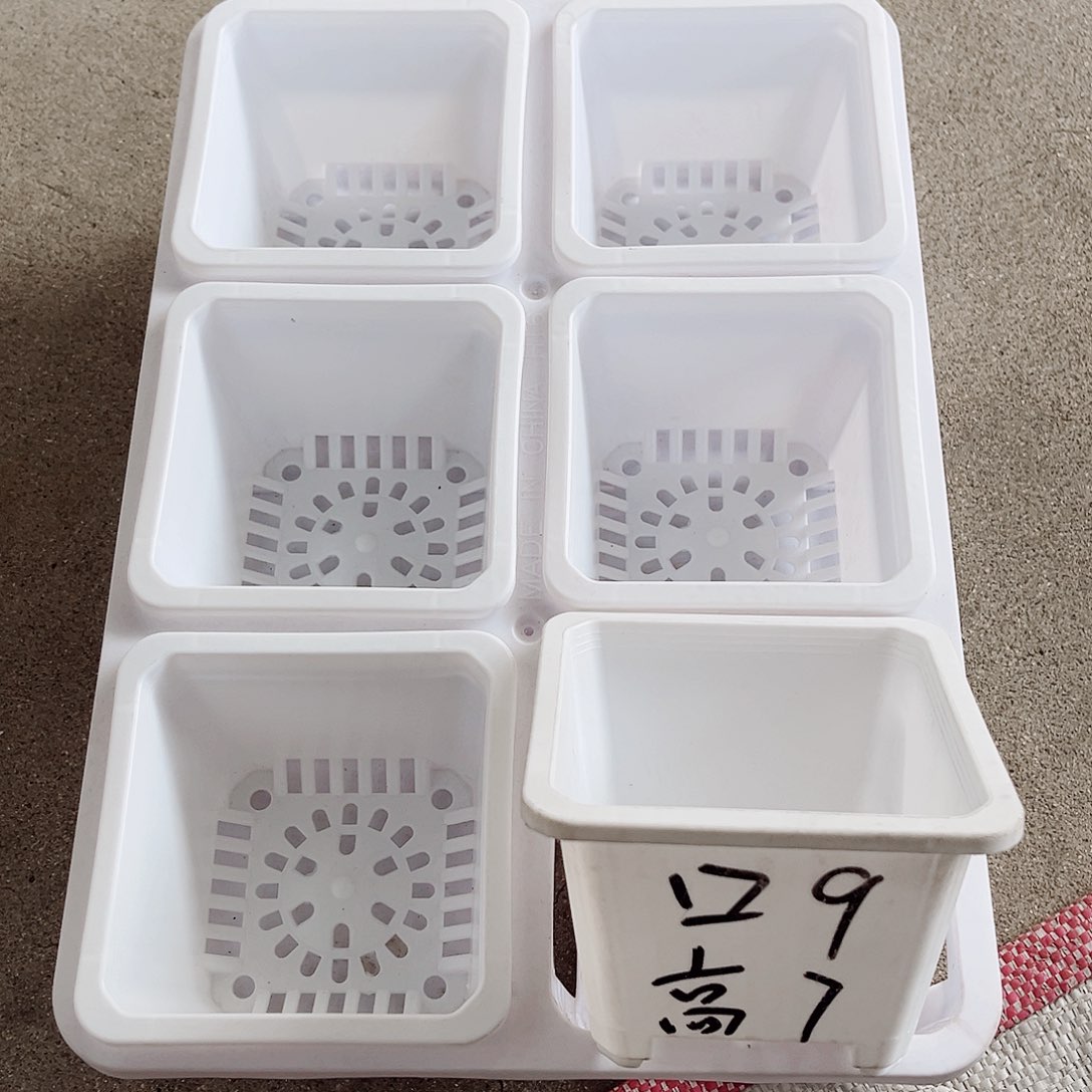 塑料福利款9方白色盆12个盆带2拖架