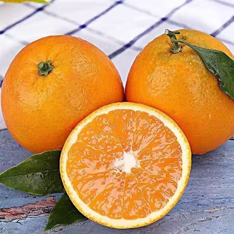 正宗赣南脐橙新鲜应季水果香甜多汁产地直发现摘现发