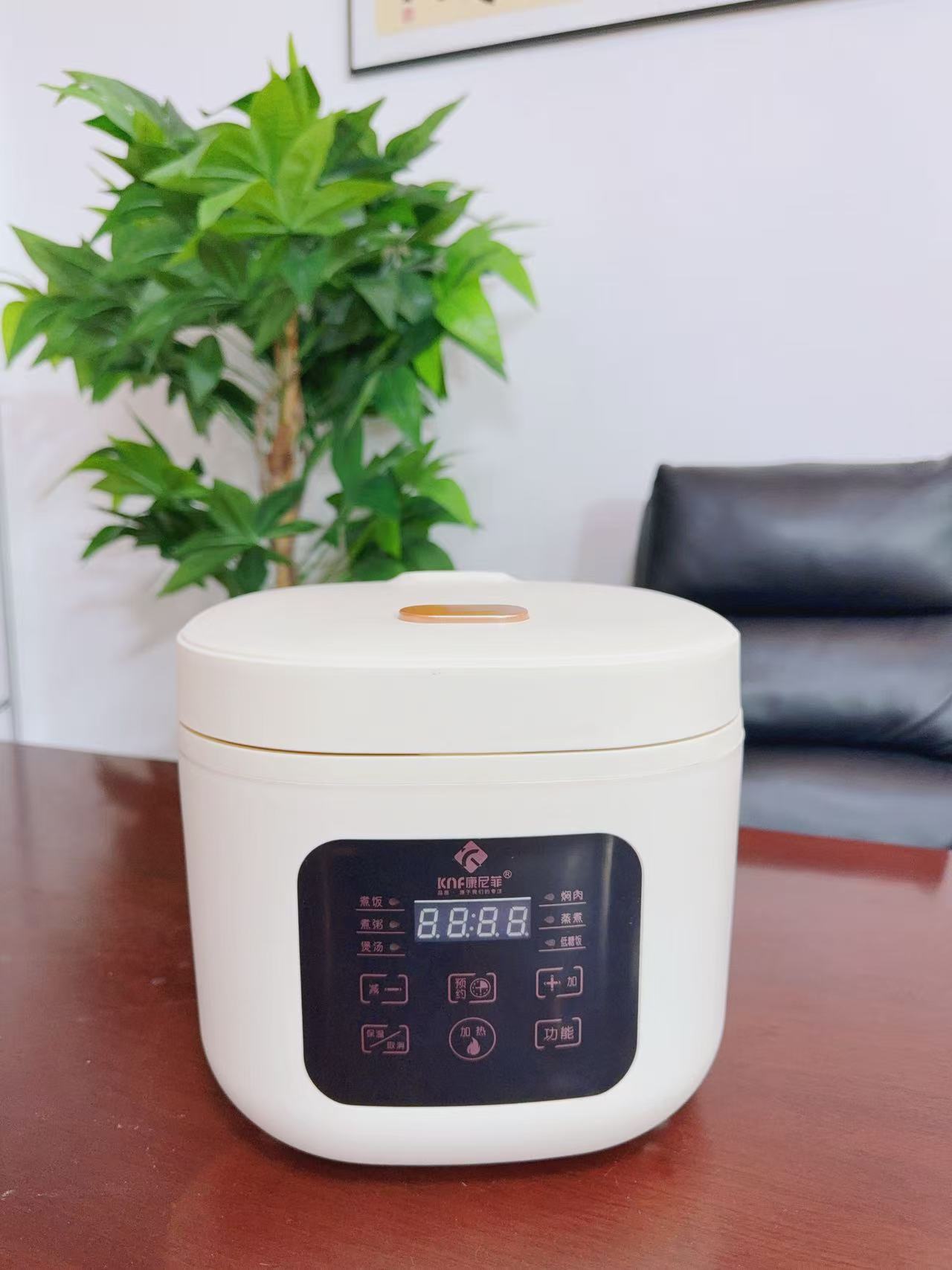 劳美拉多功能低糖电饭煲