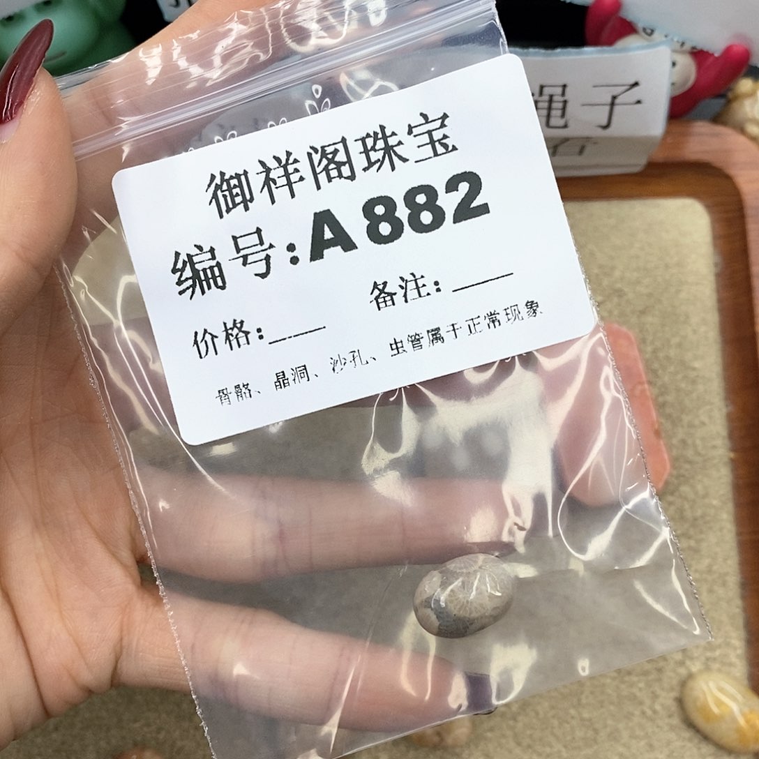 硅化珊瑚（珊瑚玉）A866未镶嵌哦*6