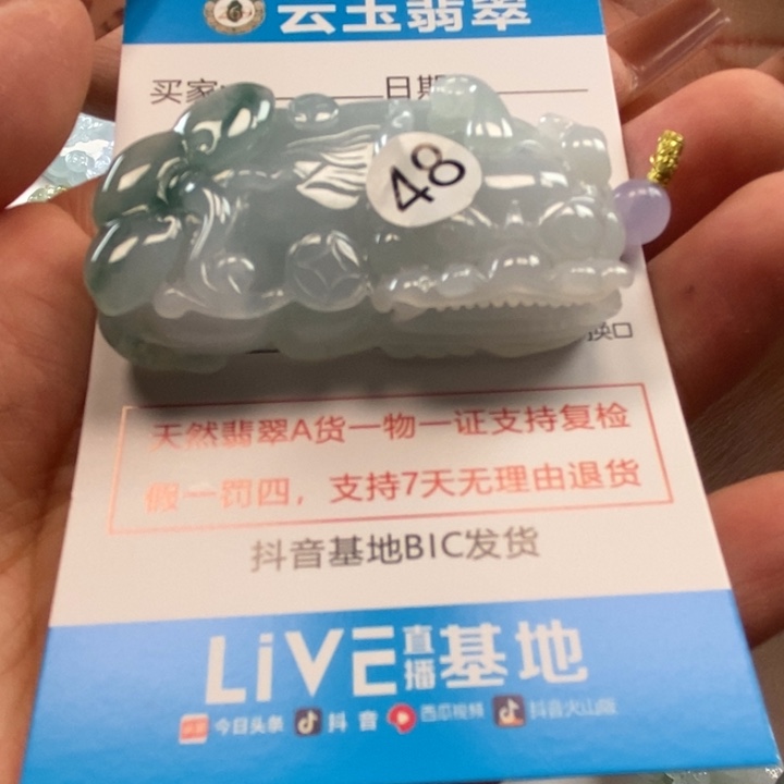 翡翠未镶嵌颈饰多人貔貅
