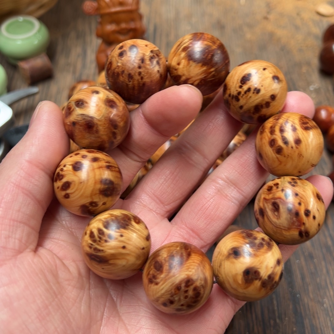 太行崖柏陈化太行