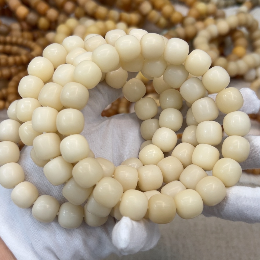 吊坠菩提根/象牙果14干磨骨瓷白底375