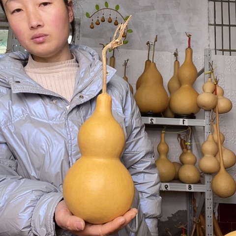 西***子天然植物葫芦文玩