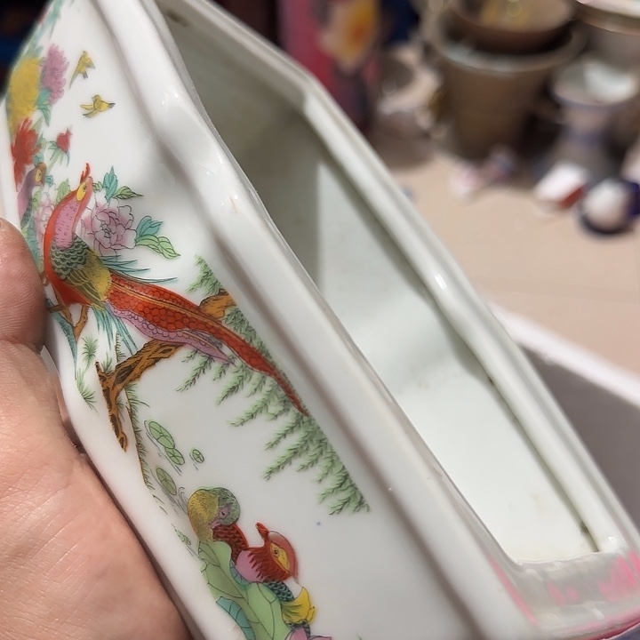 贝壳杉感****苑Cvchvhghghgh