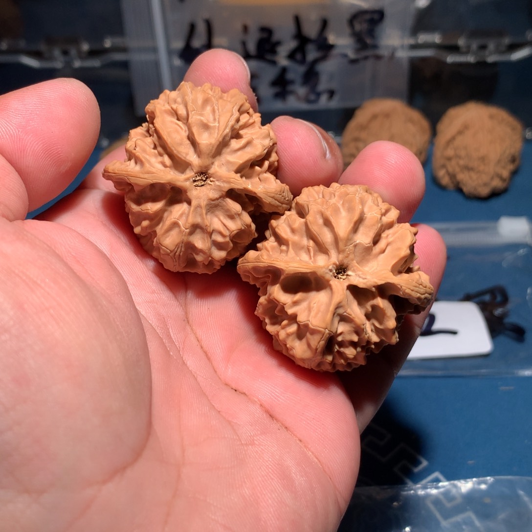 文玩核桃吊坠7苹果 951