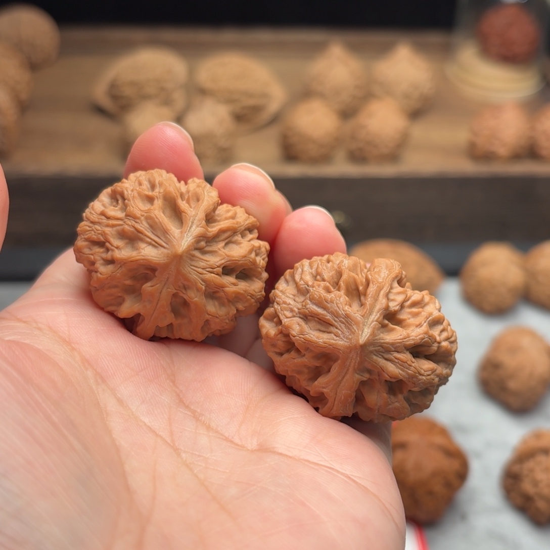 你***阿文玩核桃吊坠太行龙纹【3506】