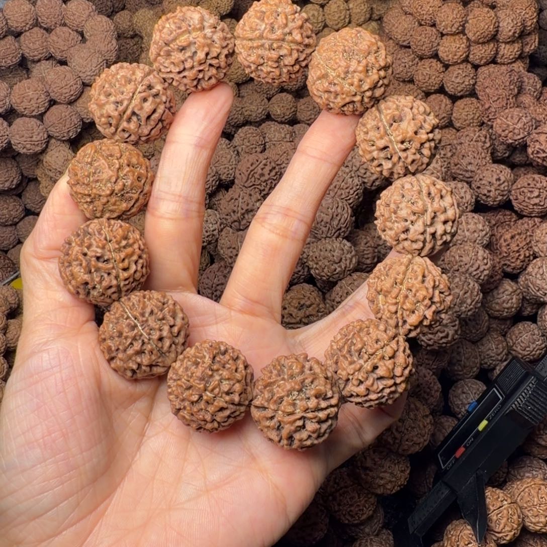 金刚菩提手串8瓣卡25尺，48号