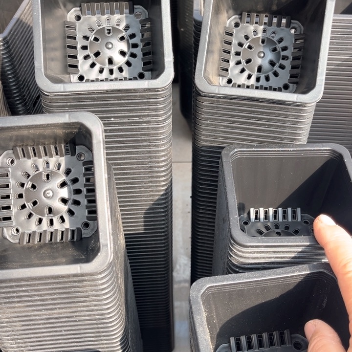 红陶黑方口9高7一组50个