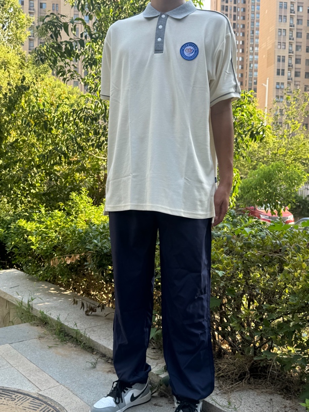 85中学校夏季运动套装体恤
