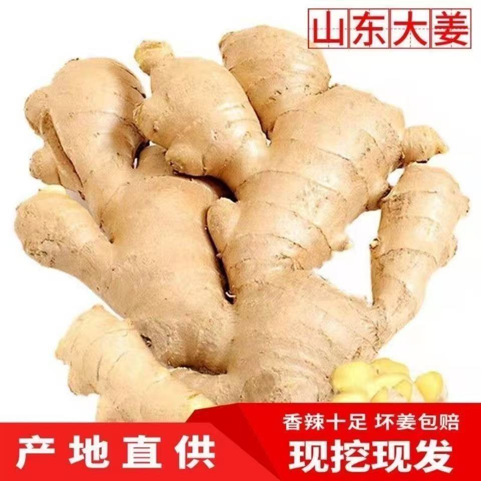 山东品质窖藏老黄姜 泥姜新鲜现挖现发可储存姜3斤5斤