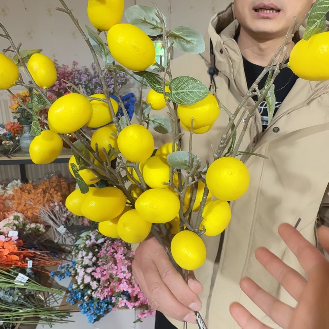 625号柠檬没有叶子6枝一包