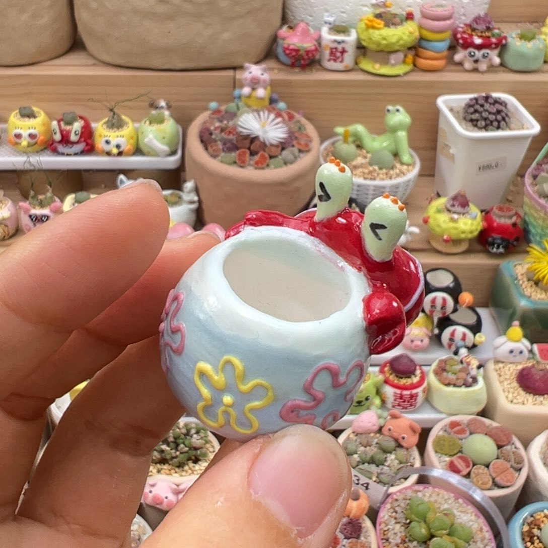 多肉植物74号单独盆