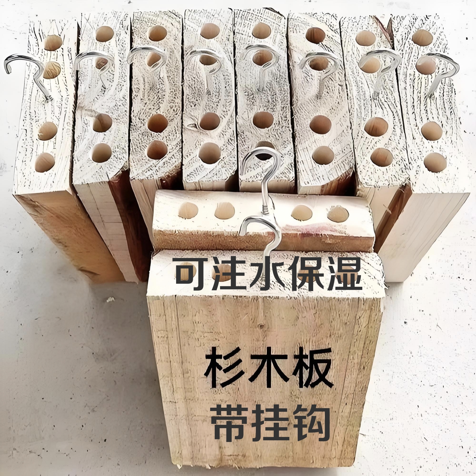 杉木板〈种植石斛〉