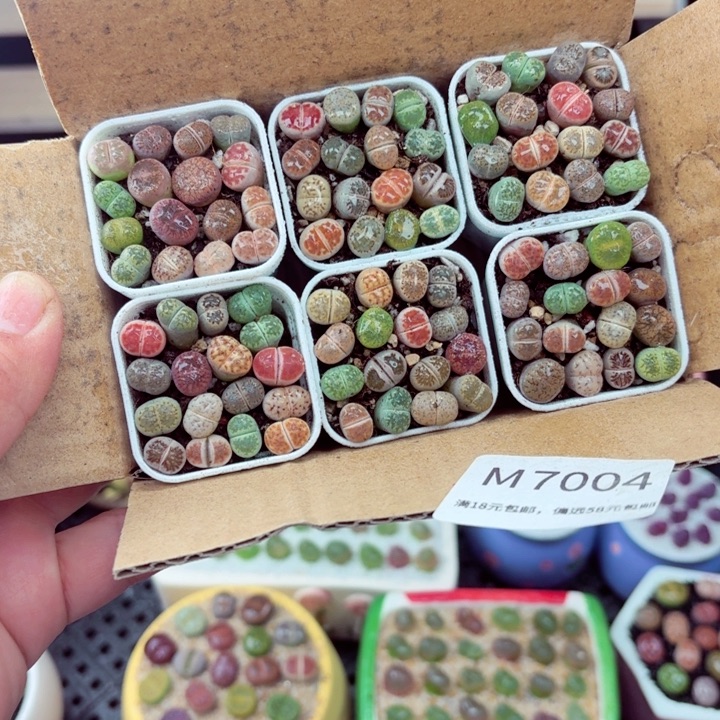 7004零下地区记得拍保温箱满18包邮