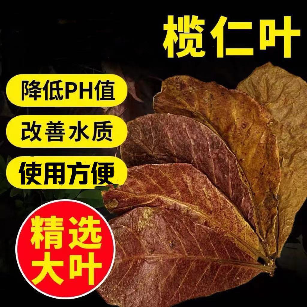 懒人叶榄人叶水族斗鱼乌龟降酸ph值净水专用预防