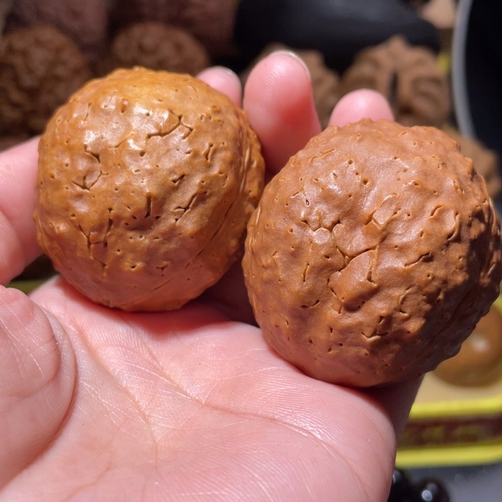 桃核把件恐龙蛋金刚菩提