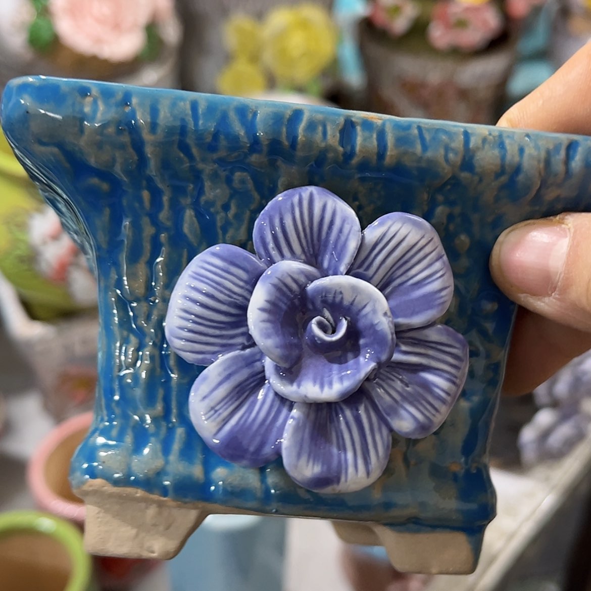 【闪购商品】红陶福利