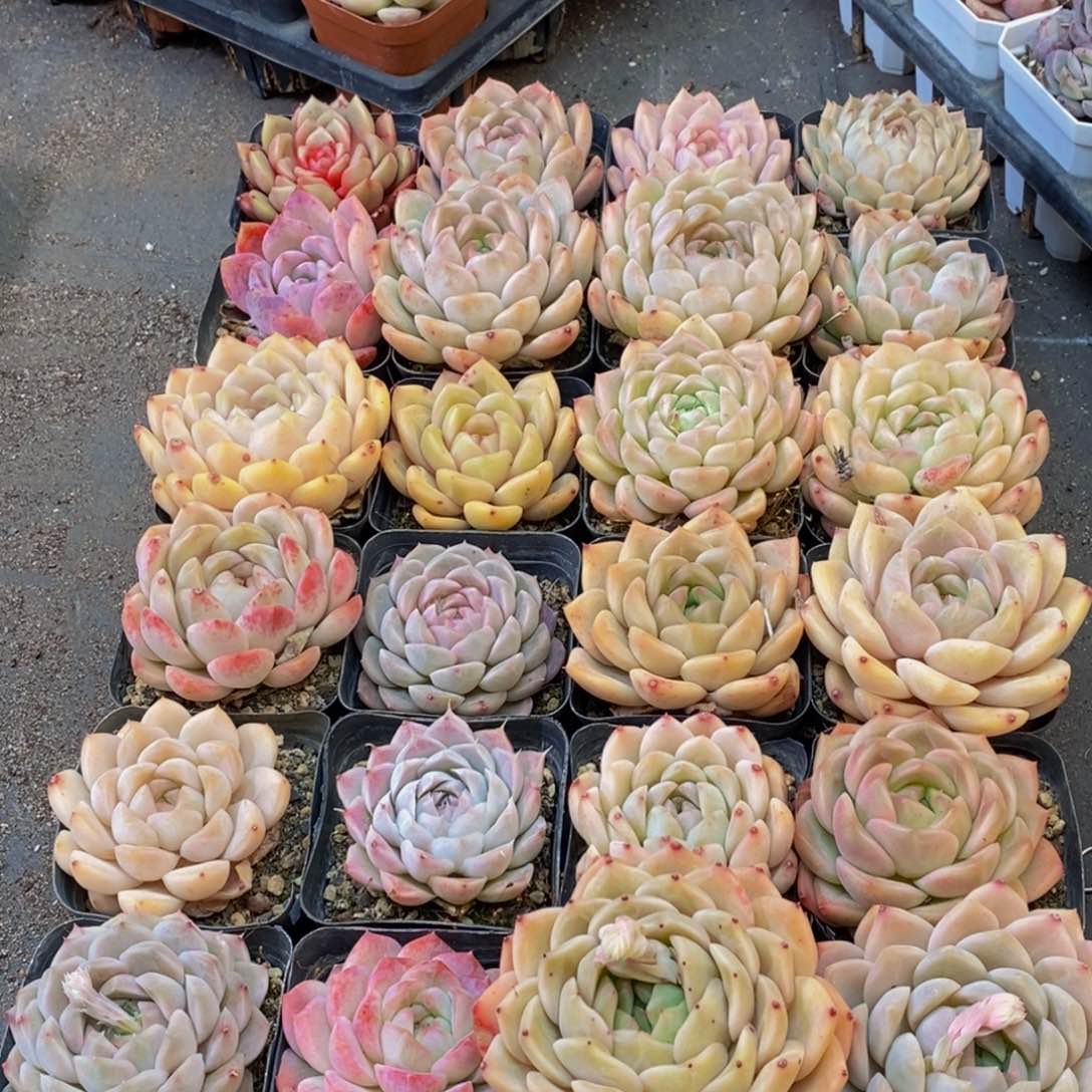 071的人和我一起