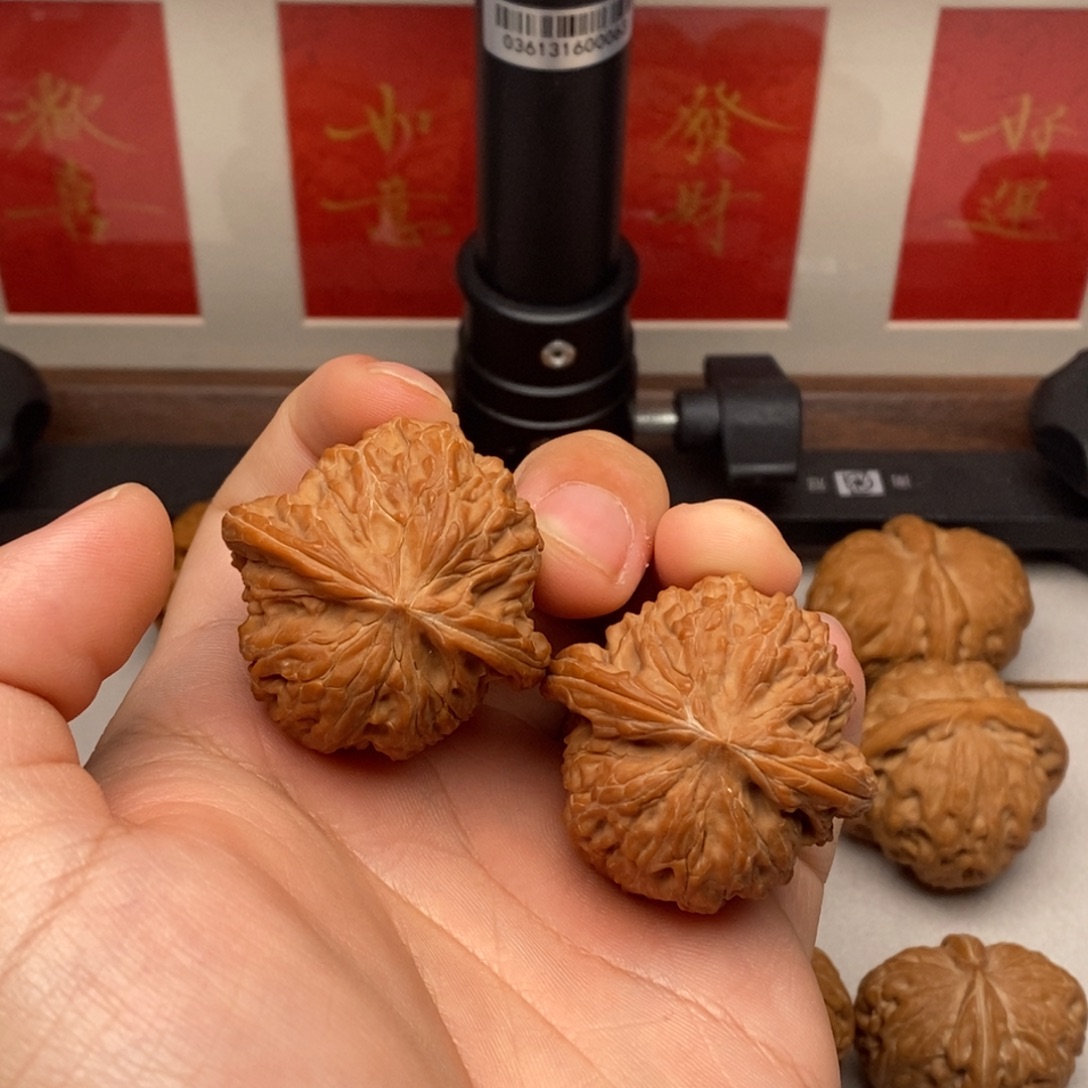 史***芬核桃全品山地正磨