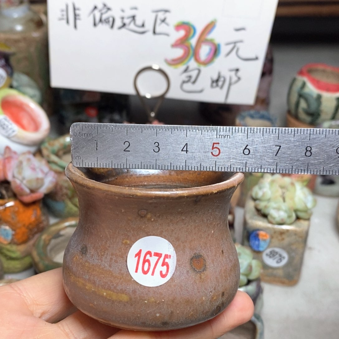 花盆拍5个送一个小礼物