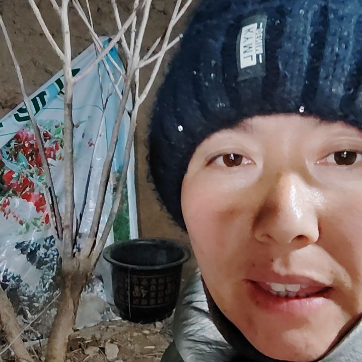 平***。完全开放文冠树一颗