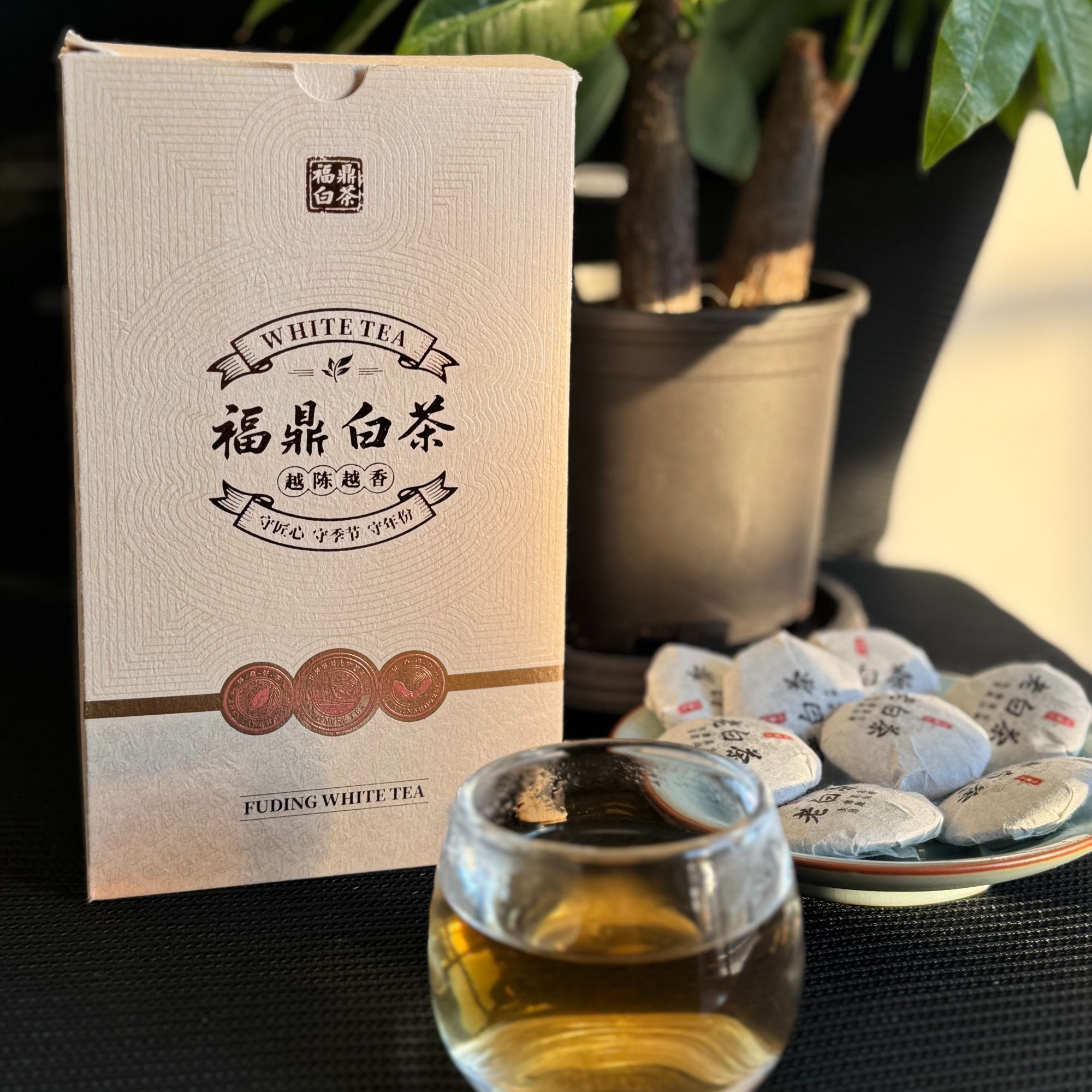 福鼎磻溪老白茶一级寿眉福利十饼装小金币