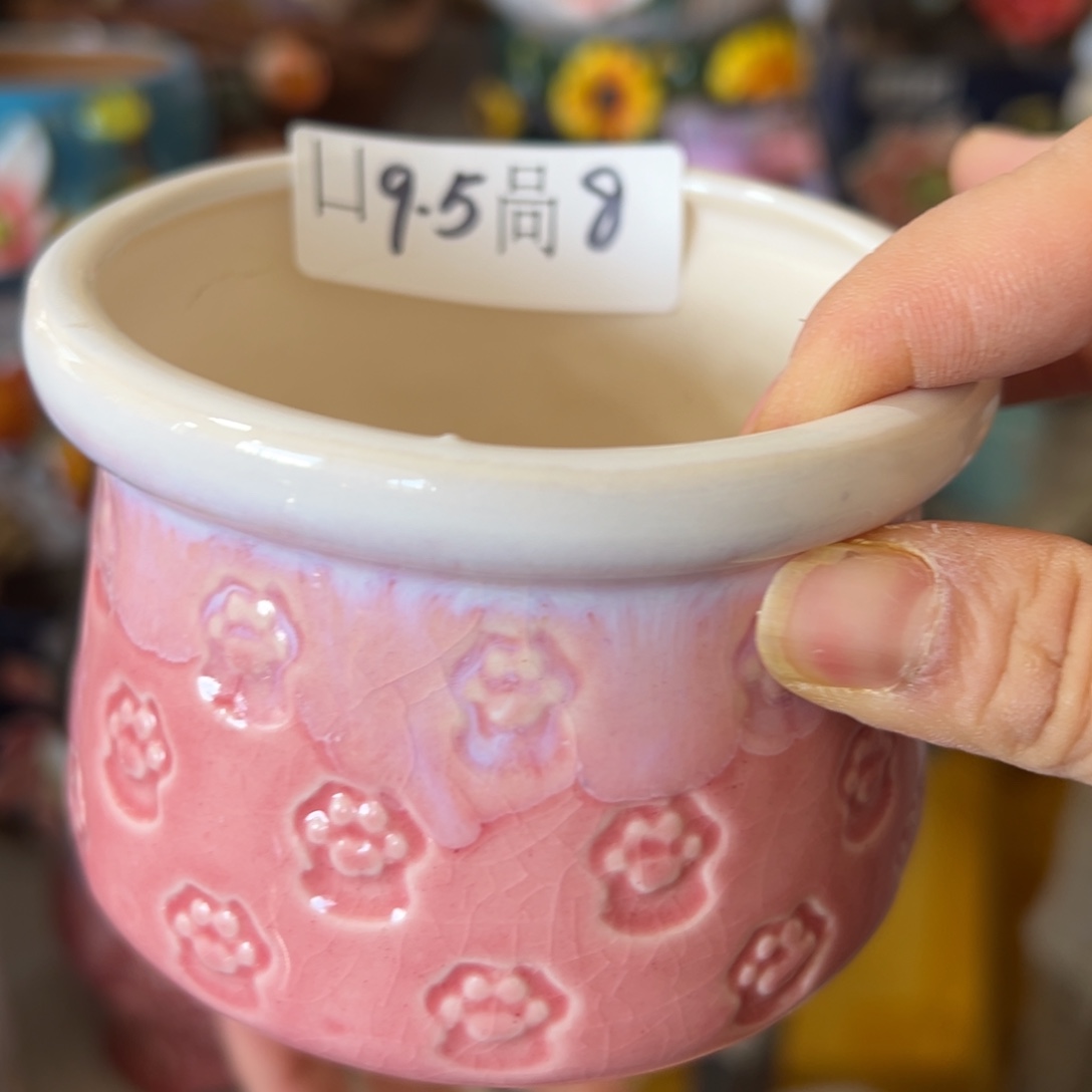 多肉花盆，满20米发货爱退款拉黑