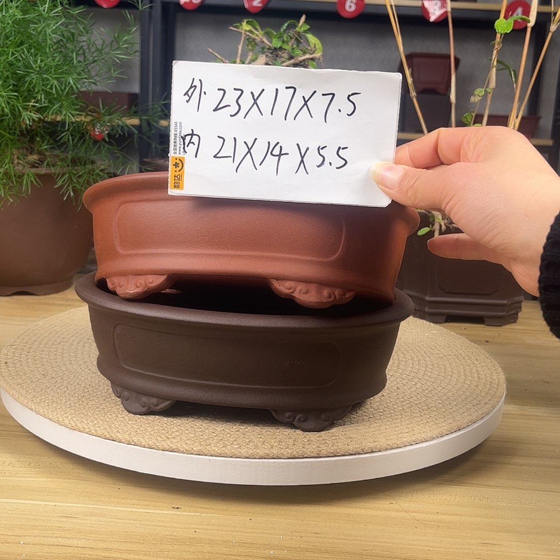 紫砂花盆紫砂花盆