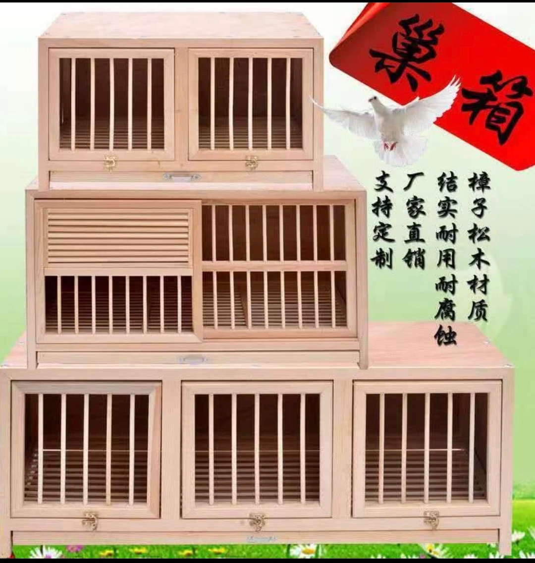 信鸽专用木质巢箱