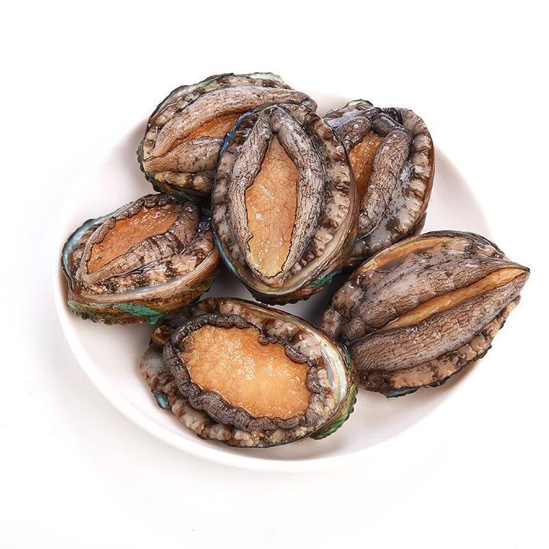鲍鱼(15#) 250g