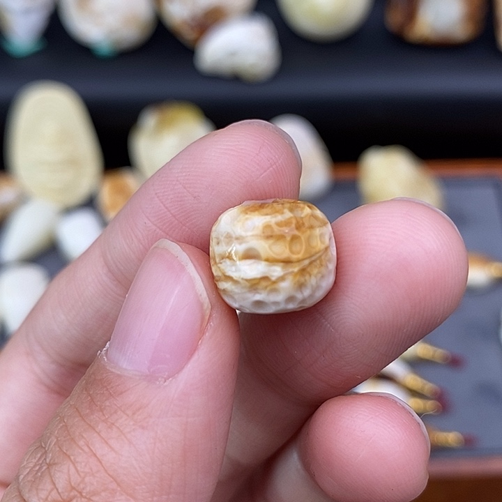 琥珀裸石未镶嵌12老型a356