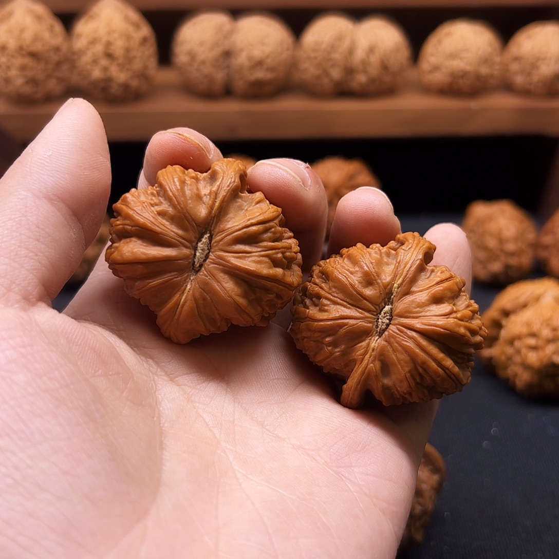 把件核桃白狮子41全品自玩