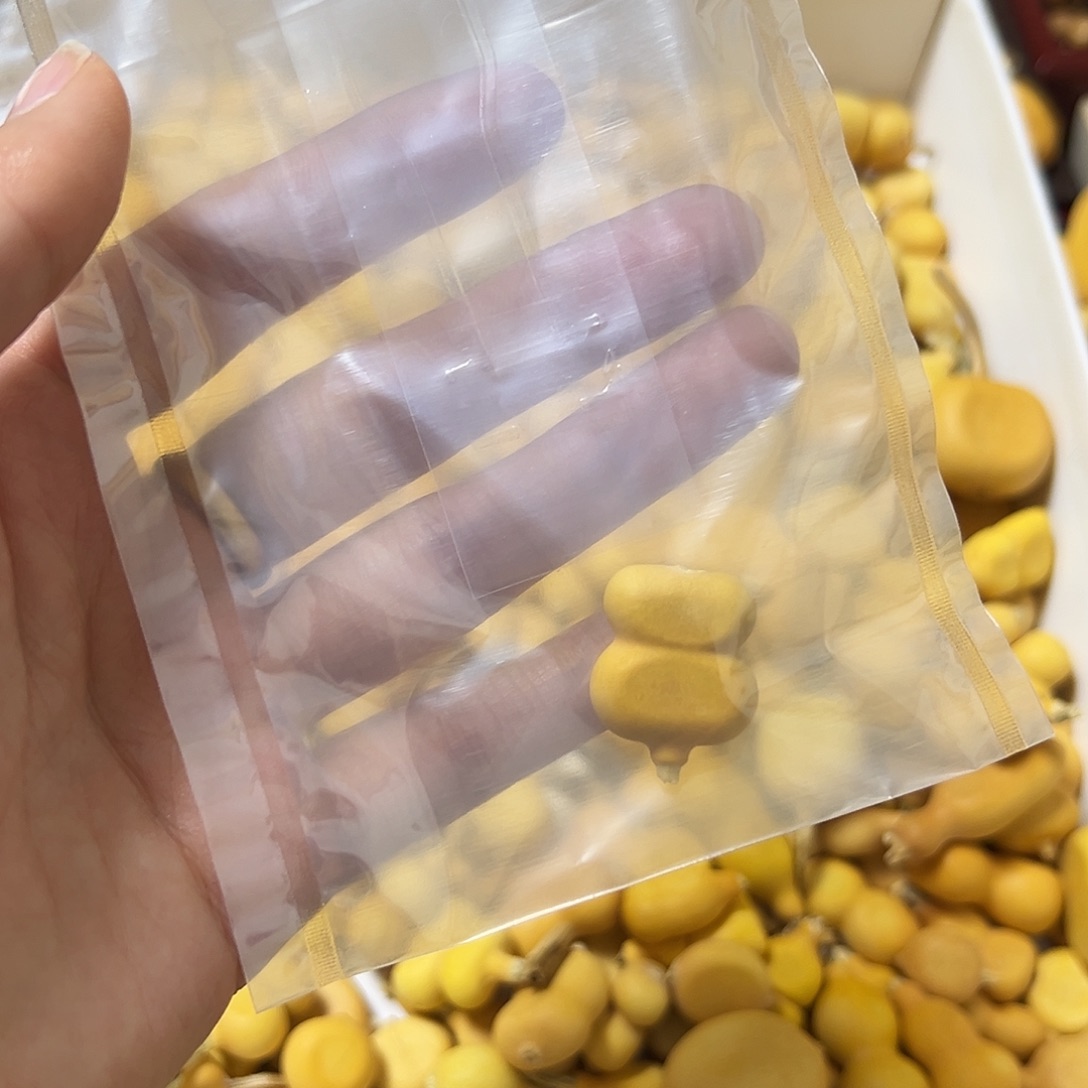 大***月葫芦打孔不退不换