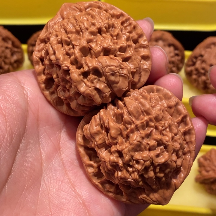 文玩核桃48尺官帽全品