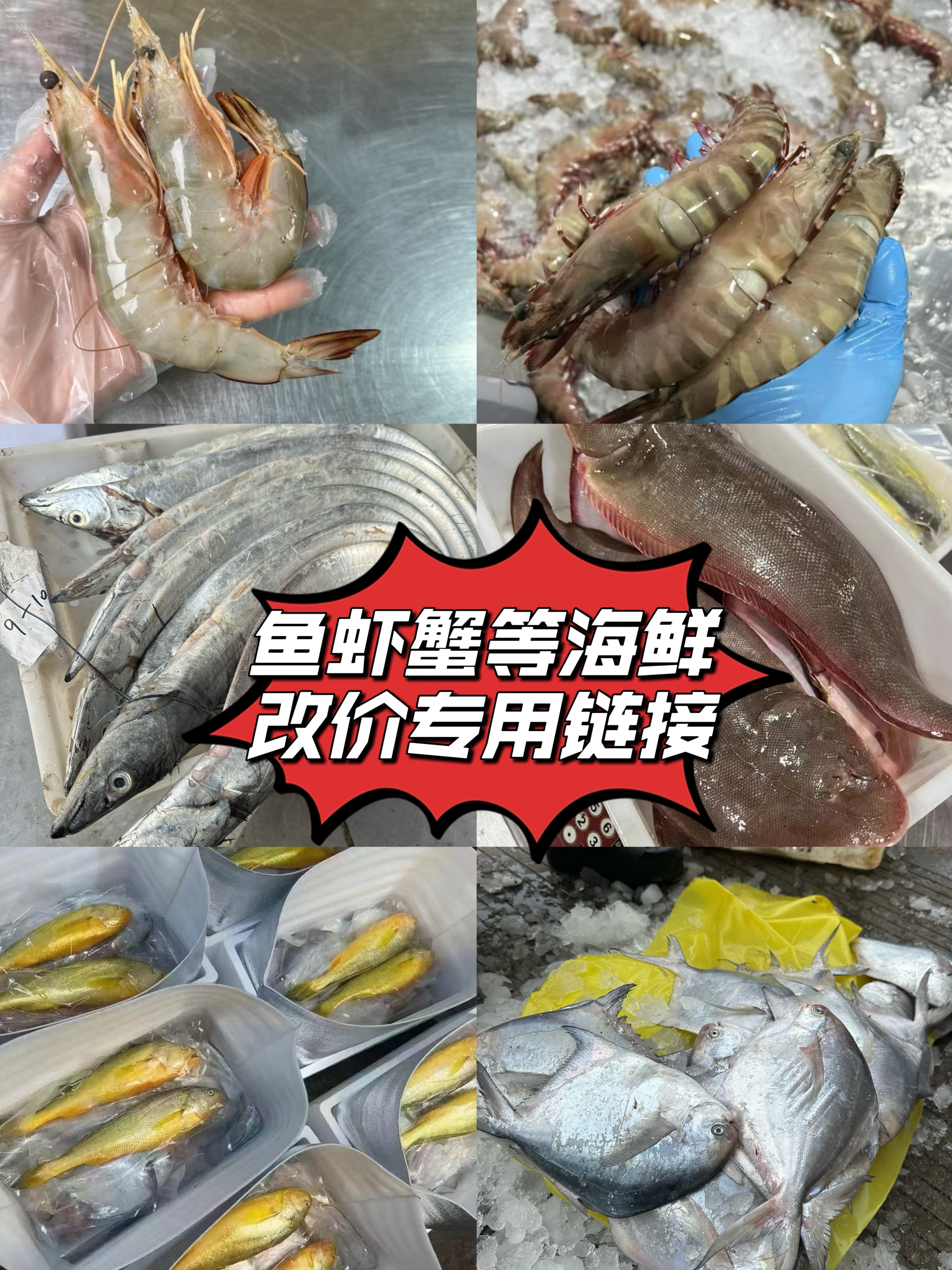 吕四渔港 真正船鲜直达到家 鱼虾蟹等海鲜直播改价专用链接