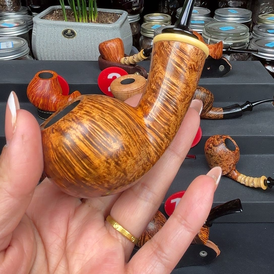 小默石楠木宽尾河豚