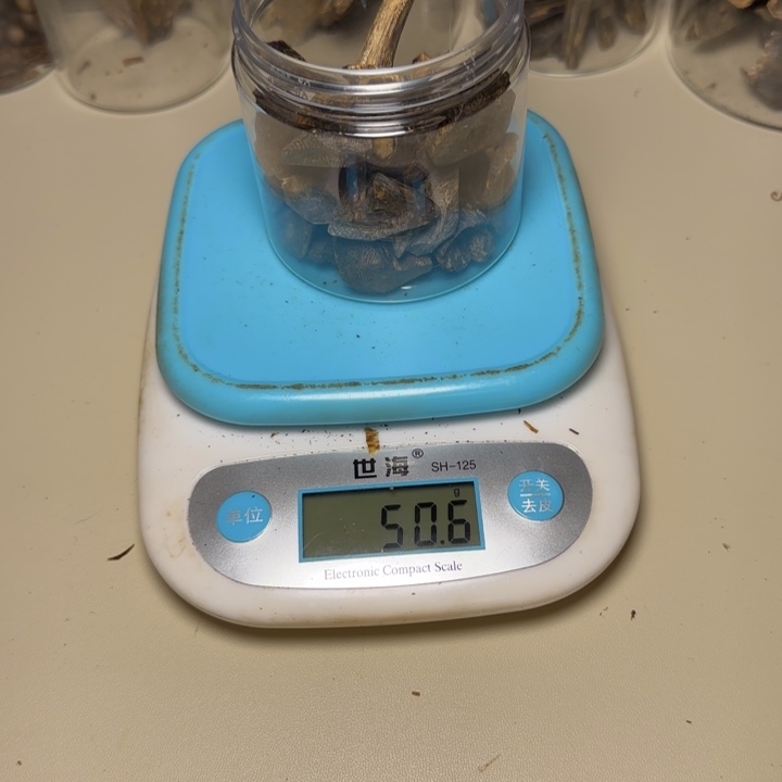 树脂制品沿****行海南白露树50克