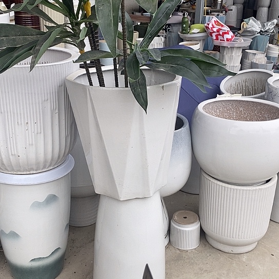 白八方特大口39高40福利