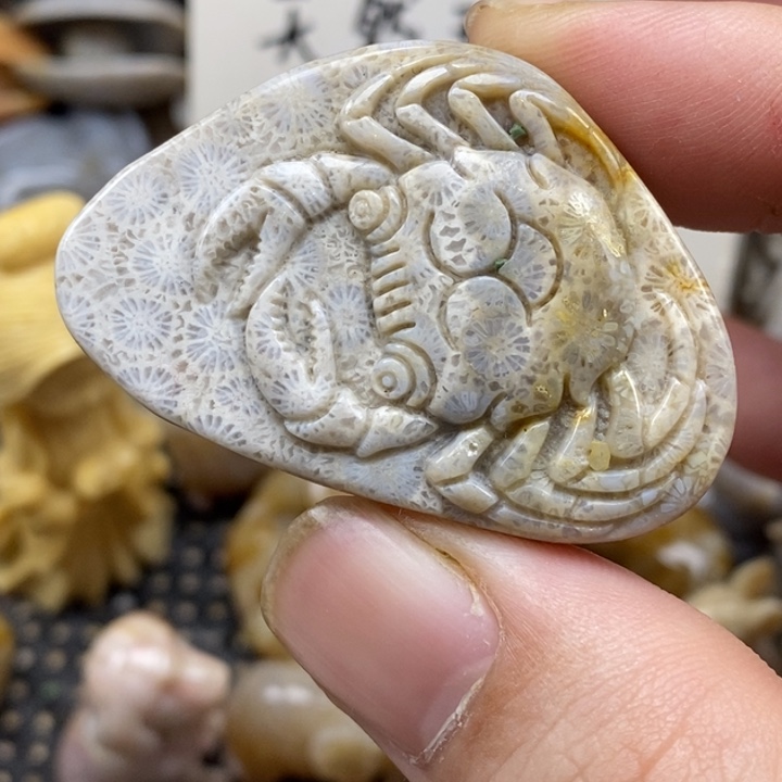 硅化珊瑚（珊瑚玉）未镶嵌颈饰