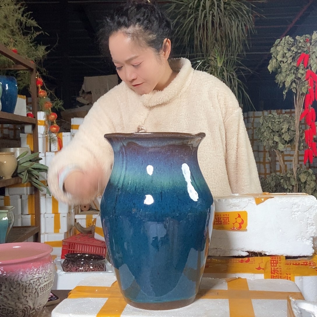 红陶花盆里栽松了