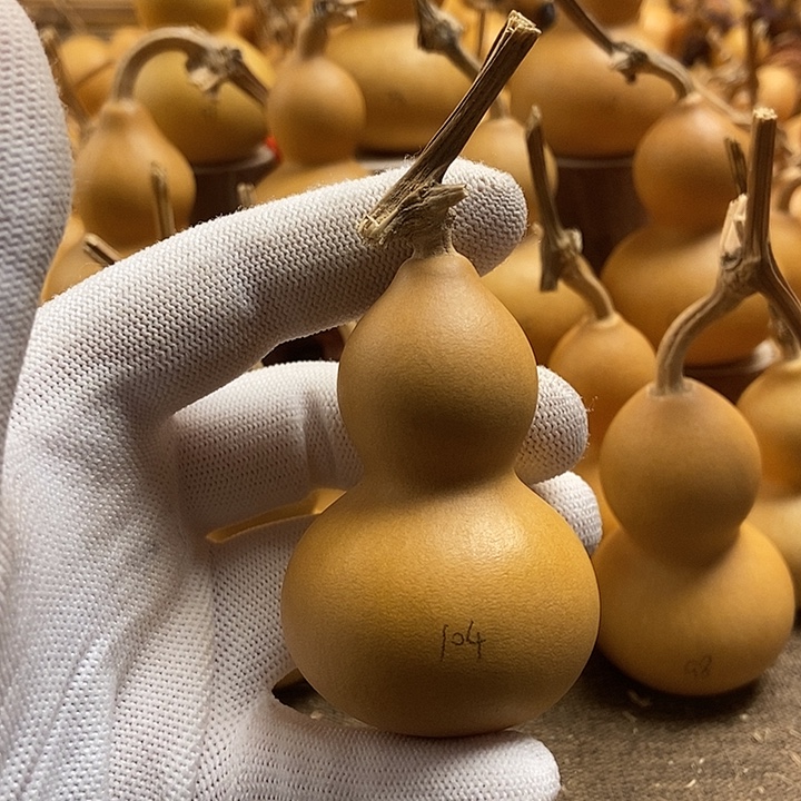 文玩葫芦 完美主义者 慎拍104