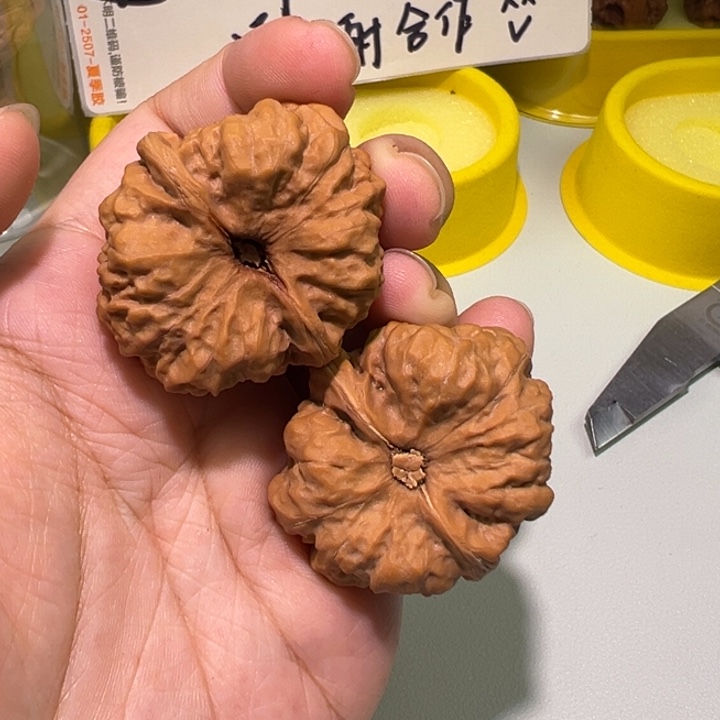 風***痕文玩核桃把件蛤蟆头