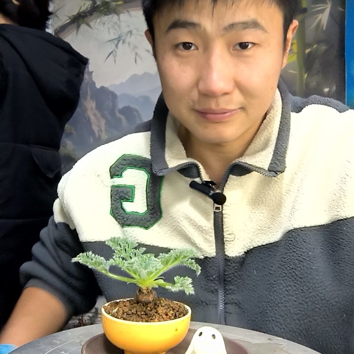 小***2中青园艺一物一拍花478