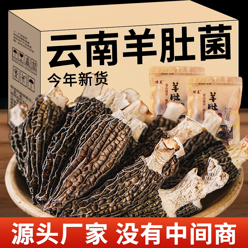 楷美25年头茬羊肚菌4-6左右 肉质厚实煲汤喝 总