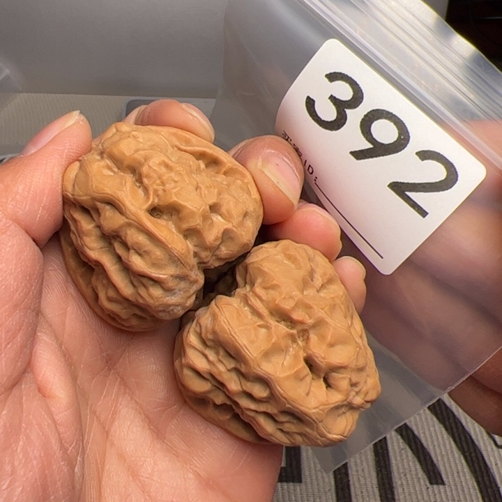 核桃39边43肚392号