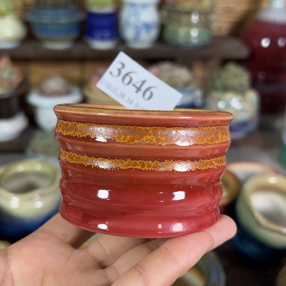 红陶景德镇陶瓷……